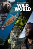 Poster for Patrick Aryee's Wild World