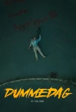 Poster for Dummedag