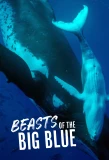 Poster for Beasts of the Big Blue