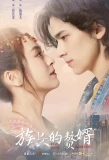 Poster for My Matrilocal Husband