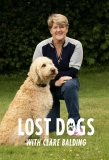 Poster for Lost Dogs Live with Clare Balding