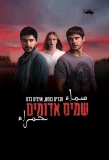 Poster for Red Skies