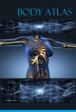 Poster for Body Atlas