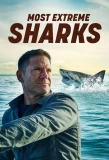 Poster for Most Extreme Sharks
