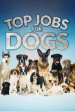 Poster for Top Jobs for Dogs