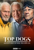 Poster for Top Dogs: Adventures in War, Sea and Ice