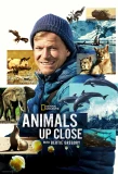 Poster for Animals Up Close with Bertie Gregory