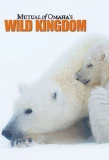 Poster for Mutual Of Omaha's Wild Kingdom