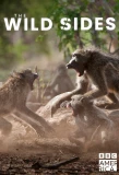 Poster for The Wild Sides