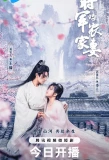 Poster for The General's Sweety