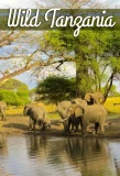 Poster for Wild Tanzania