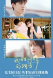 Poster for Back to Seventeen