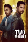 Poster for Two Brothers