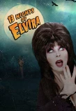 Poster for 13 Nights of Elvira