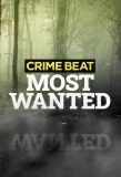 Poster for Crime Beat: Most Wanted