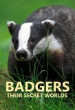 Poster for Badgers: Their Secret Worlds
