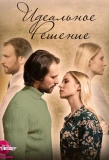Poster for Идеальное решение