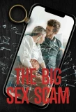Poster for The Big Sex Scam
