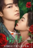 Poster for You Complete Me