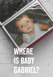Poster for Where Is Baby Gabriel?