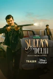Poster for Sultan of Delhi