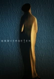 Poster for Godvergeten