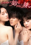 Poster for Kemutai Ane to Zurui Imoto