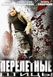 Poster for Перелётные птицы
