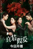 Poster for True False Love