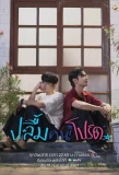 Poster for A Secretly Love