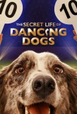 Poster for The Secret Life of Dancing Dogs