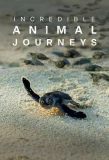 Poster for Incredible Animal Journeys