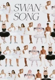 Poster for Swan Song