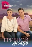 Poster for Грибной дождь