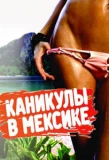 Poster for Каникулы в Мексике