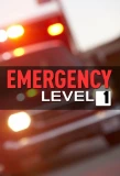 Poster for Emergency Level 1