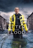 Poster for After the Flood