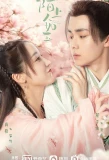 Poster for Special Lady
