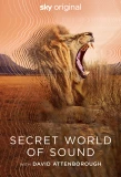 Poster for Secret World of Sound with David Attenborough