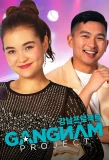 Poster for Gangnam Project