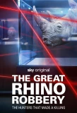 Poster for The Great Rhino Robbery