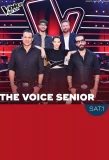 Poster for The Voice Senior