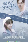 Poster for Summer Wind