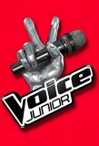 Poster for Voice Junior
