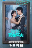 Poster for The Perfect Husband in the Mirror