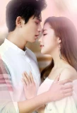 Poster for Castle in the Time