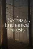 Poster for Secrets of the Enchanted Forests