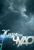 Poster for Жизнь как чудо