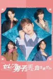 Poster for Celebrity Danshi wa Te ni Oemasen