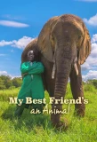 Poster for My Best Friend's an Animal